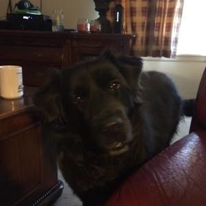 Meet your Posher, Melinda